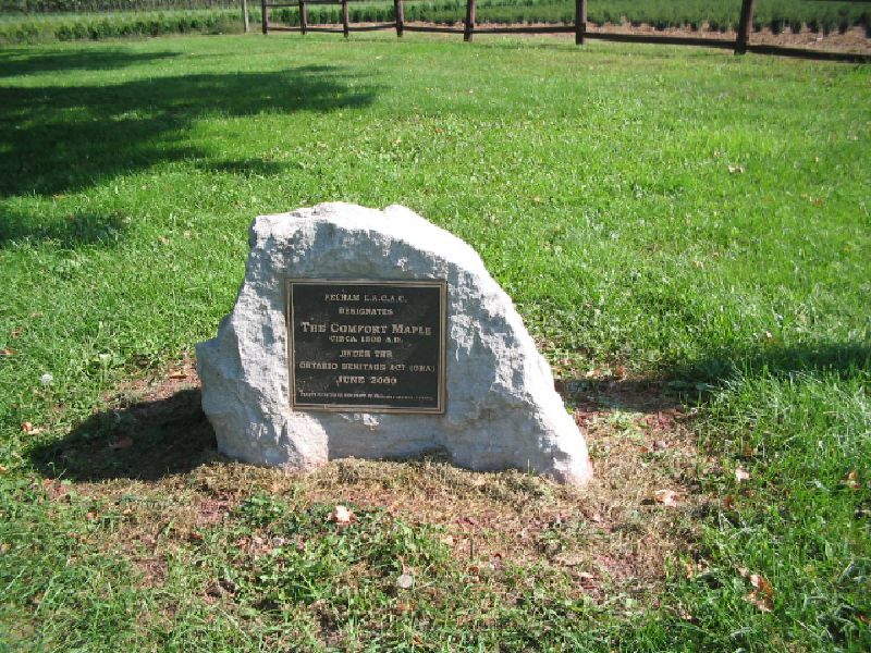 Foreground Image