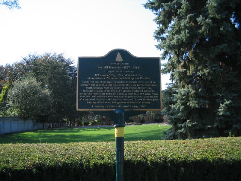 Foreground Image